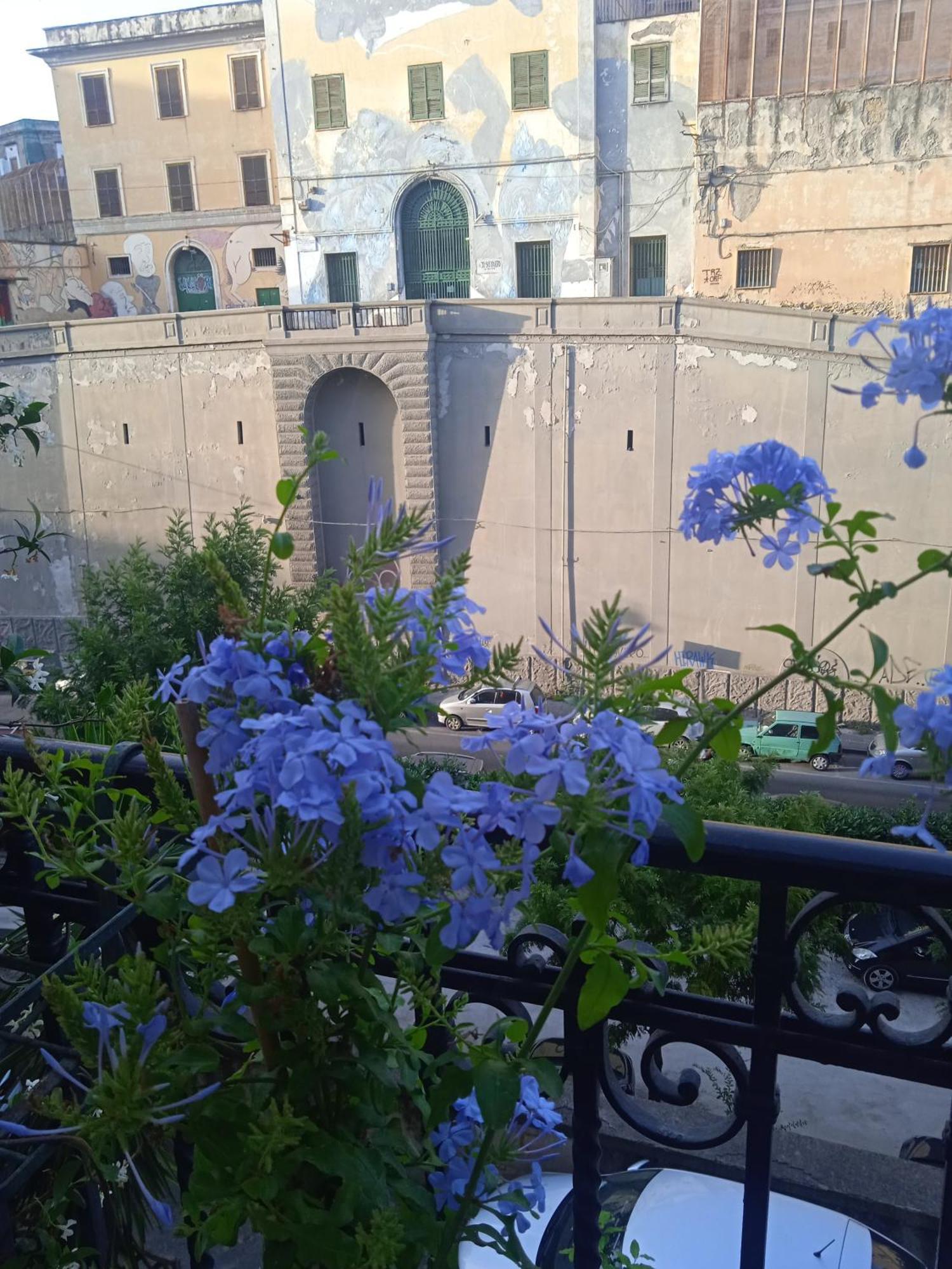Guest house Well Come - Museo Naples